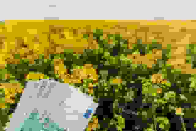 money-saved-when-using-ai-company-headshots