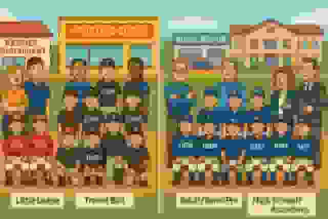 Different Baseball Organizations